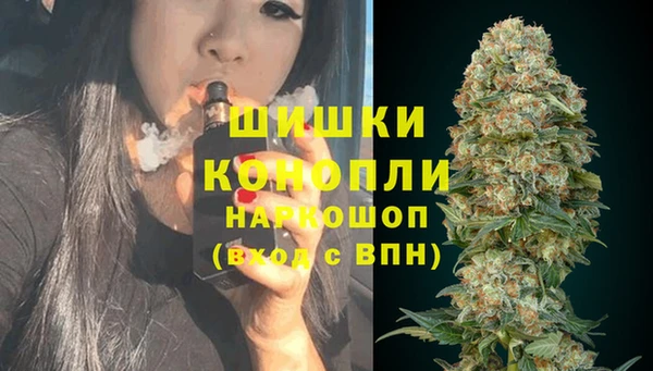 ПСИЛОЦИБИНОВЫЕ ГРИБЫ Дрезна