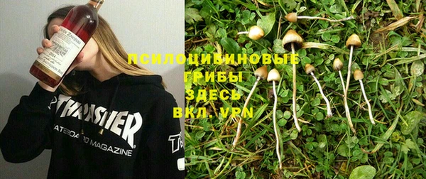 круглые Костерёво